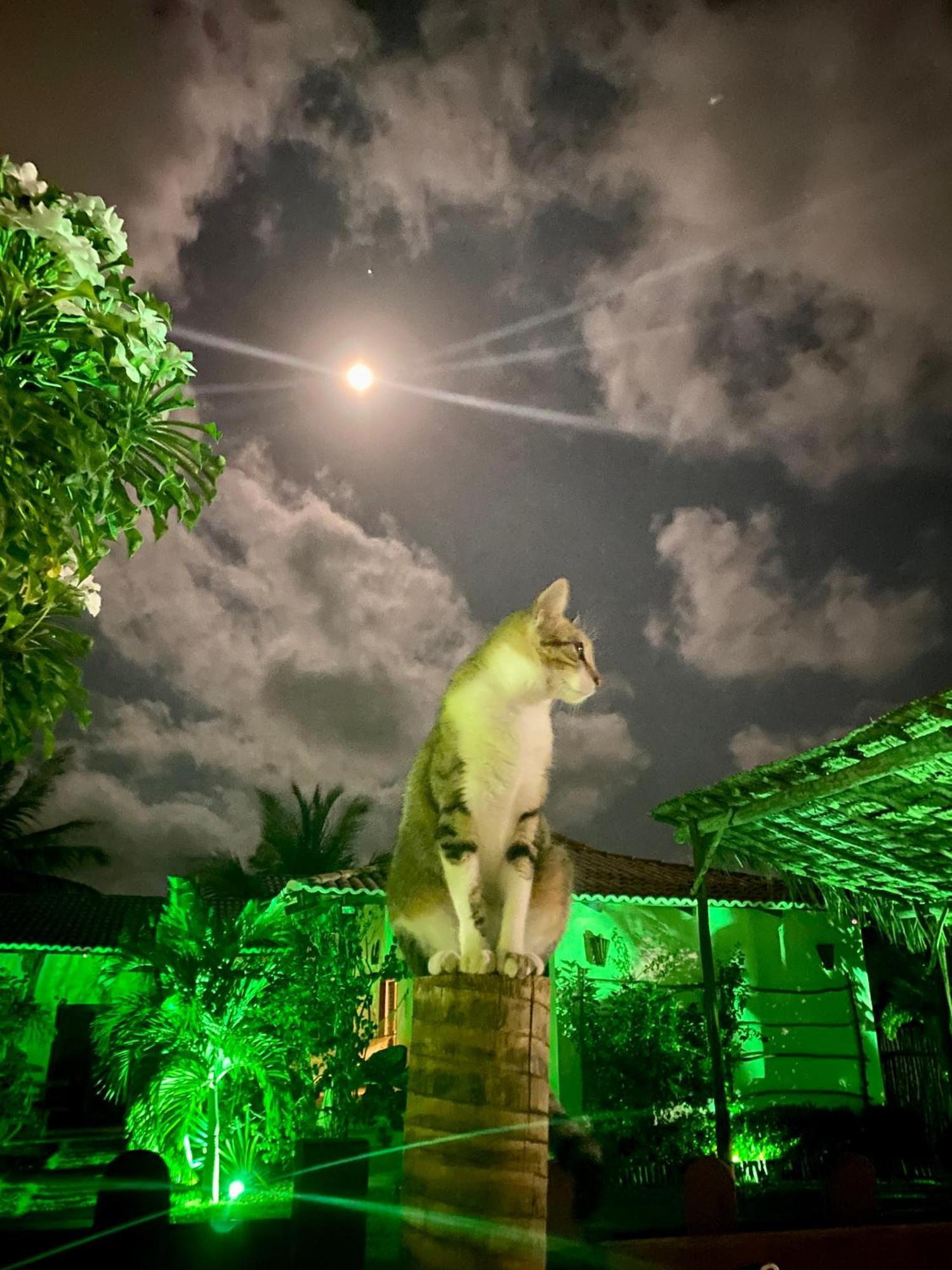 Villa Corsica Prea Esterno foto